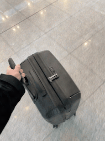 Person Holding Black Suitcase With Zipper GIF