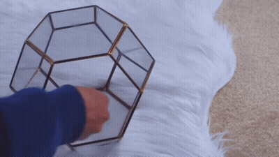 Person Holding Blue Ball In Glass Container GIF