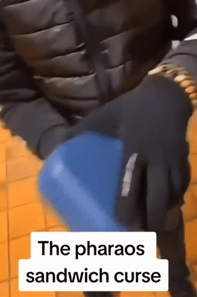 Person Holding Blue Object With The Pharaos Sandwich Curse GIF
