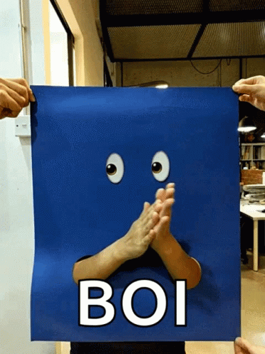 Person Holding Blue Poster Saying Boi GIF