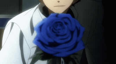 Person Holding Blue Rose GIF