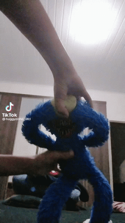 Person Holding Blue Stuffed Animal With Face GIF