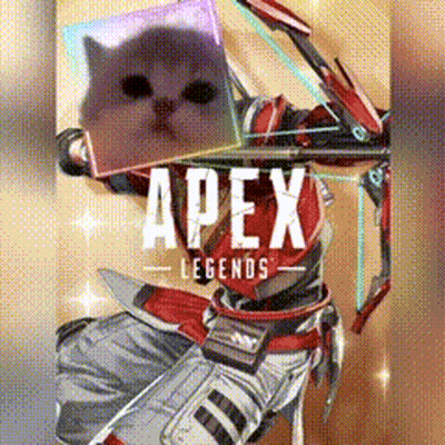 Person Holding Bow And Arrow With Cat Behind GIF