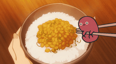 Person Holding Bowl Of Rice And Beans With Kidney GIF