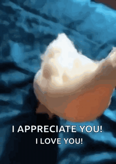 Person Holding Bread Saying I Love You GIF