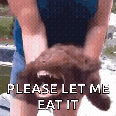 Person Holding Brown Dog Saying Please Let Me Eat It GIF