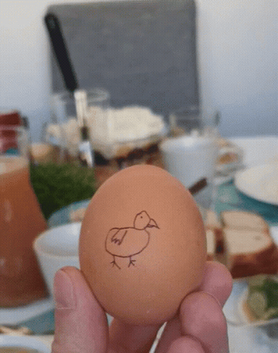 Person Holding Brown Egg With Chicken Drawing GIF