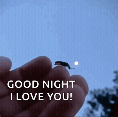 Person Holding Bug Saying Good Night I Love You GIF