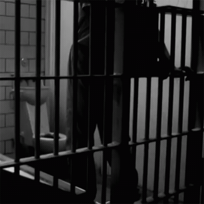 Person Holding Bunny In Pink Sunglasses GIF