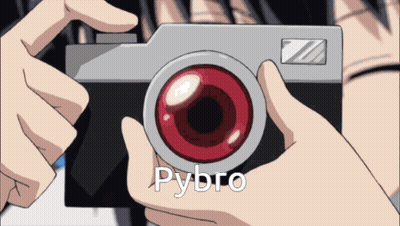 Person Holding Camera With Pybro GIF