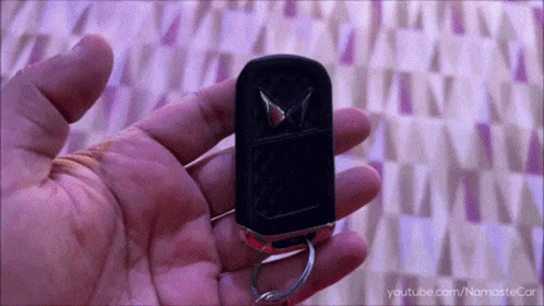 Person Holding Car Key With Namastecar GIF