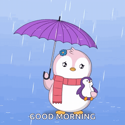 Person Holding Cat 10/10 Very Squish Floppy Is Hot GIF
