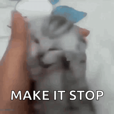 Person Holding Cat Saying Make It Stop GIF
