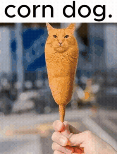 Person Holding Cat Shaped Corn Dog GIF