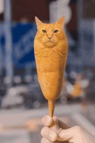 Person Holding Cat-Shaped Ice Cream GIF