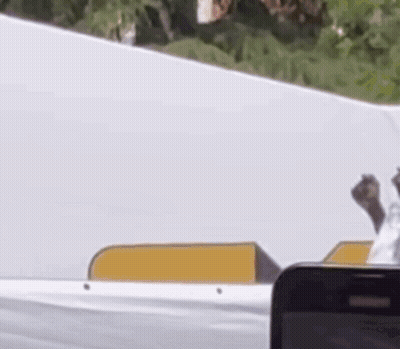 Person Holding Cell Phone GIF