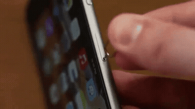 Person Holding Cell Phone