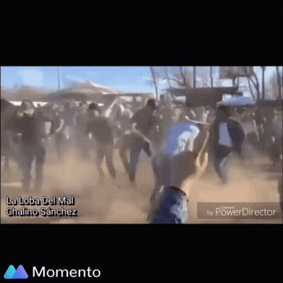 Person Holding Cell Phone In Crowd La Loba Del Mal GIF