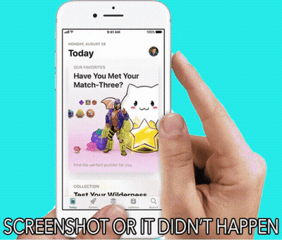 Person Holding Cell Phone Screenshot Or It Didnt Happen GIF