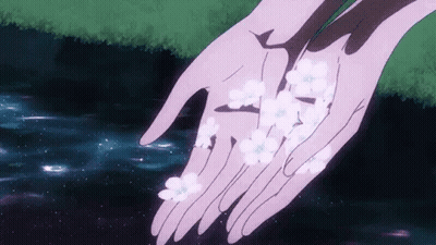 Person Holding Cherry Blossoms Over Water GIF