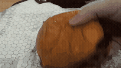 Person Holding Chicken Sandwich In Wrapping Paper GIF