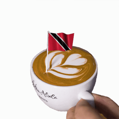 Person Holding Coffee Cup Saying Aliola GIF
