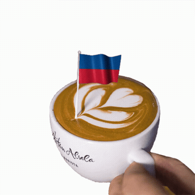 Person Holding Coffee Cup With Flag GIF