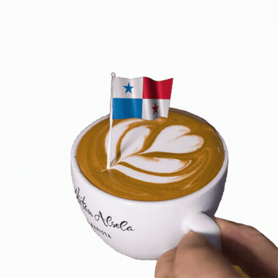 Person Holding Coffee Cup With Flag GIF