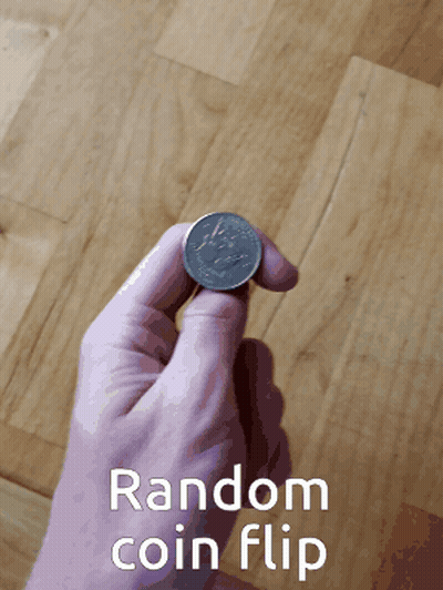 Person Holding Coin With Random Coin Flip GIF
