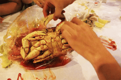 Person Holding Crab In Plastic Bag GIF