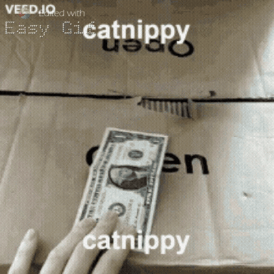 Person Holding Dollar Bill In Front Of Box Saying Easy Catnippy GIF