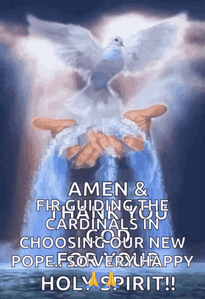 Person Holding Dove Amen & Fir Guiding Cardinals Choosing New Pope GIF