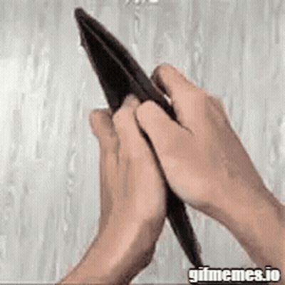 Person Holding Empty Wallet Gifmemes.io GIF