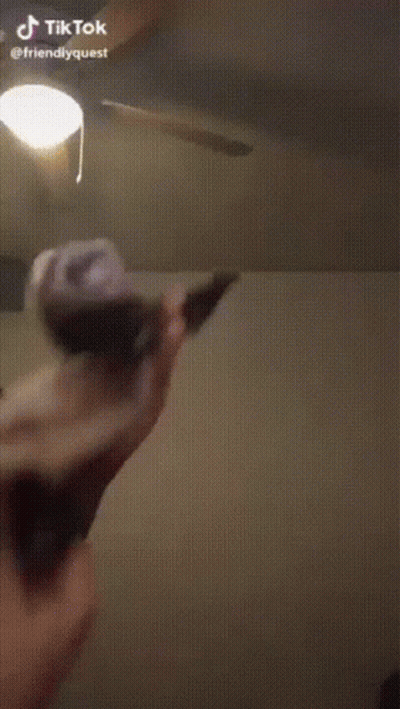 Person Holding Ferret And Pikachu Origami In Front Of Ceiling Fan GIF