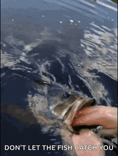 Person Holding Fish Saying Don't Let The Fish Catch You GIF