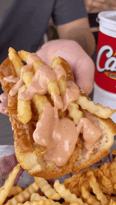 Person Holding Fried Chicken Sandwich With Fries And Coca Cola GIF