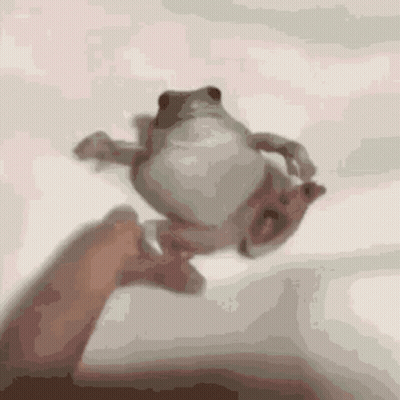 Person Holding Frog Upside Down GIF