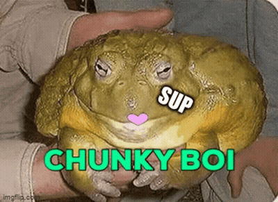 Person Holding Frog With Chunky Boi GIF