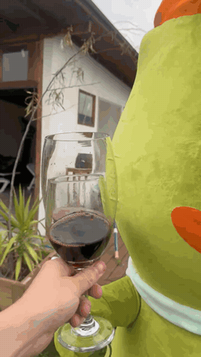 Person Holding Glass Of Red Wine GIF