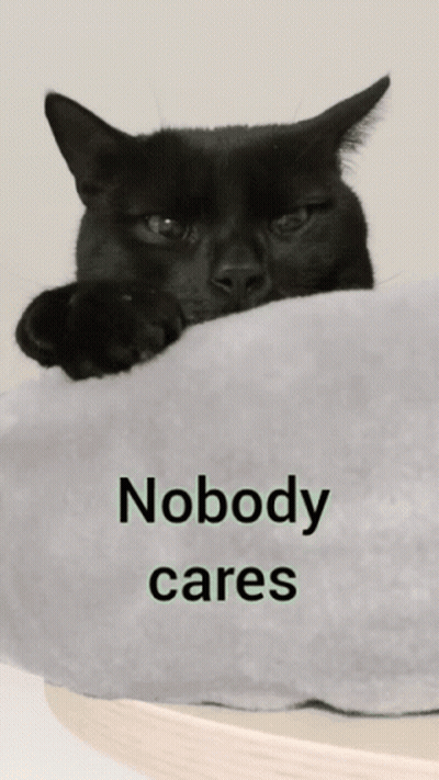 Person Holding Gray Cat With Mouth Open GIF