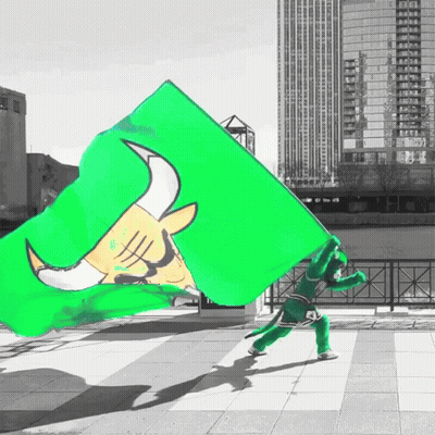 Person Holding Green Flag With Bull GIF