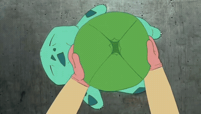 Person Holding Green Turtle With Hole GIF