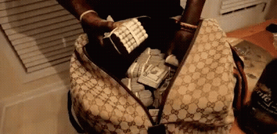 Person Holding Gucci Pattern Bag Full Of Money GIF