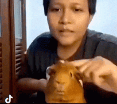 Person Holding Guinea Pig GIF