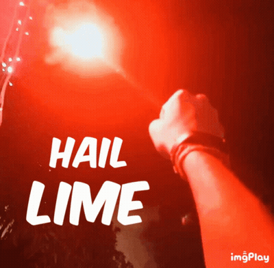 Person Holding Hail Lime Sign GIF