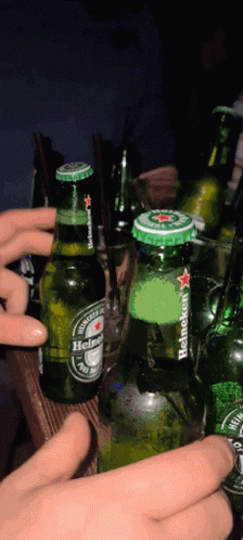 Person Holding Heineken Beer GIF
