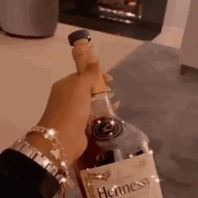 Person Holding Hennessy Bottle GIF