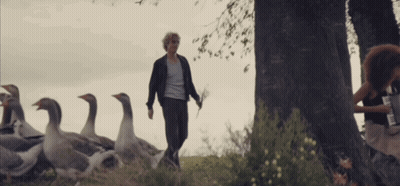Person Holding Kitten In Hat And Scarf GIF
