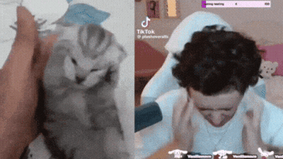 Person Holding Kitten Next To Man With Hands On Ears GIF