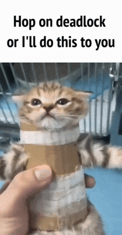 Person Holding Kitten Wrapped In Duct Tape Saying Hop On Deadlock Or I'll Do This To You GIF